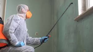 Mold Remediation for Rental Properties in East Troy, WI